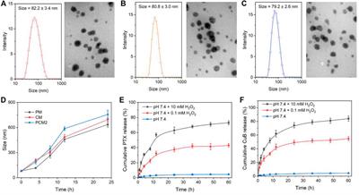 Reactive Oxygen Species-Responsive Nanococktail With Self-Amplificated Drug Release for Efficient Co-Delivery of Paclitaxel/Cucurbitacin B and Synergistic Treatment of Gastric Cancer